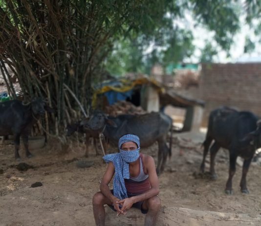 ग्राम पंचायत खोरा अंतर्गत सभी मजरों में होम आइसोलेट लोगों का किया गया स्वास्थ्य परीक्षण,अजयगढ़ से संवाद न्यूज ब्यूरो जयराम पाठक की रिपोर्ट