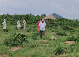 Dfo पन्ना ने अजयगढ वन परिक्षेत्र का किया औचक भ्रमण बृक्षारोपण का लिया जायजा,अजयगढ़ से संवाद न्यूज़ ब्यूरो जयराम पाठक की रिपोर्ट