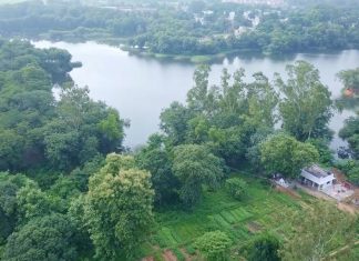 वन महोत्सव -2020 के लिए एनसीएल की तैयारियां पूरी,सोशल डिस्टेंसिंग का पालन करते हुए ई-माध्यम से जुड़ेंगी सभी परियोजनाएं, सिंगरौली से संवाद न्यूज ब्यूरो गोबिन्द राज की रिपोर्ट