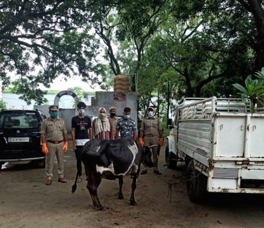 हाईवे चेकिंग के दौरान शेरकोट पुलिस पर संदिग्ध वाहन में बैठे लोगों ने किया फायर, पुलिस ने घेराबंदी कर पकड़ा, बिजनौर से संवाद न्यूज ब्यूरो एम.शाकिर की रिपोर्ट