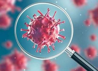 कोरोना की भयावह महामारी के उपचार पर एआइजे की विशिष्ट पहल,4 अक्टूबर को विशेषज्ञों के साथ राष्ट्रीय वेबिनार में पत्रकार भी रख सकेंगे अपने विचार, संवाद न्यूज ब्यूरो माणकलाल जैन की रिपोर्ट