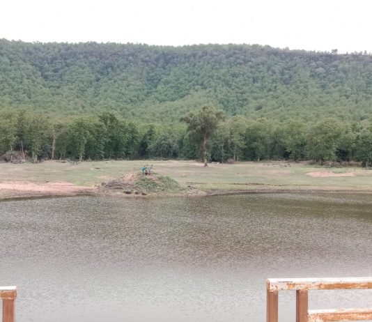 प्रकृति की गोद में खोए तालाब बारिश के दिनों में अद्भुत नजारा अजयगढ़ से संवाद न्यूज ब्यूरो जयराम पाठक की रिपोर्ट