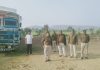 गौवंश से भरा ट्रक पकड़ाया, 67 मवेशी कराए मुक्त जबेरा पुलिस ने की कार्रवाई। जबेरा से हेमराज सिंह के साथ संवाद न्यूज़ प्रबंध संपादक विजय यादव